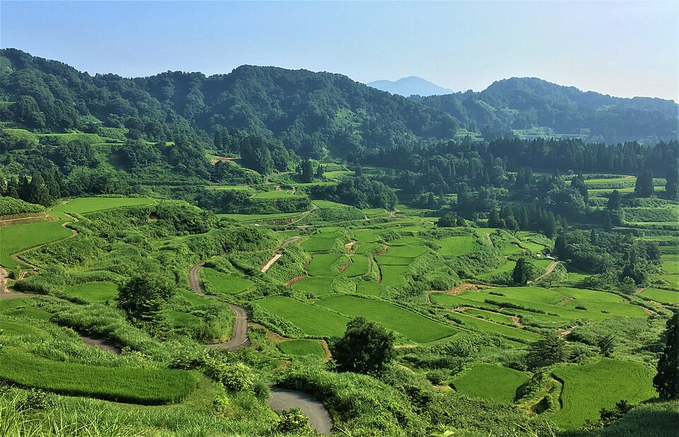 Hoshitoge rice terraces